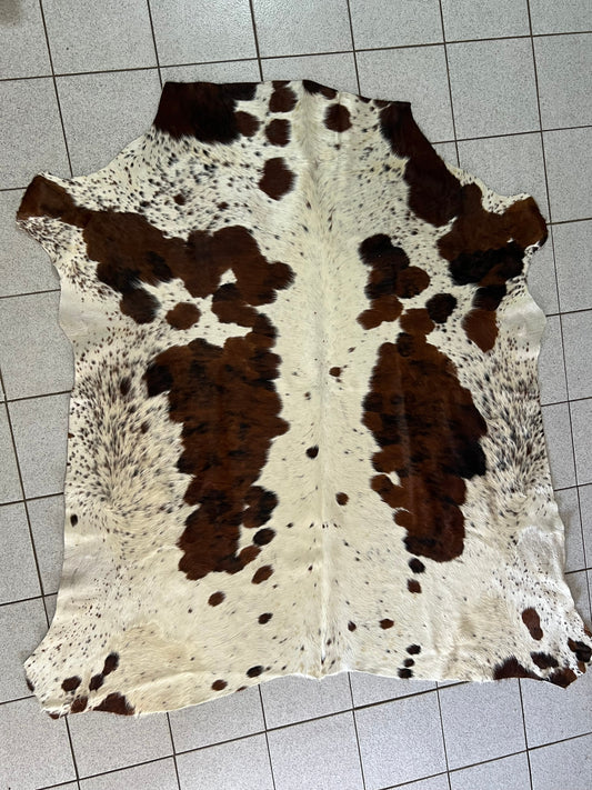 Nguni Hide ATTRI2645